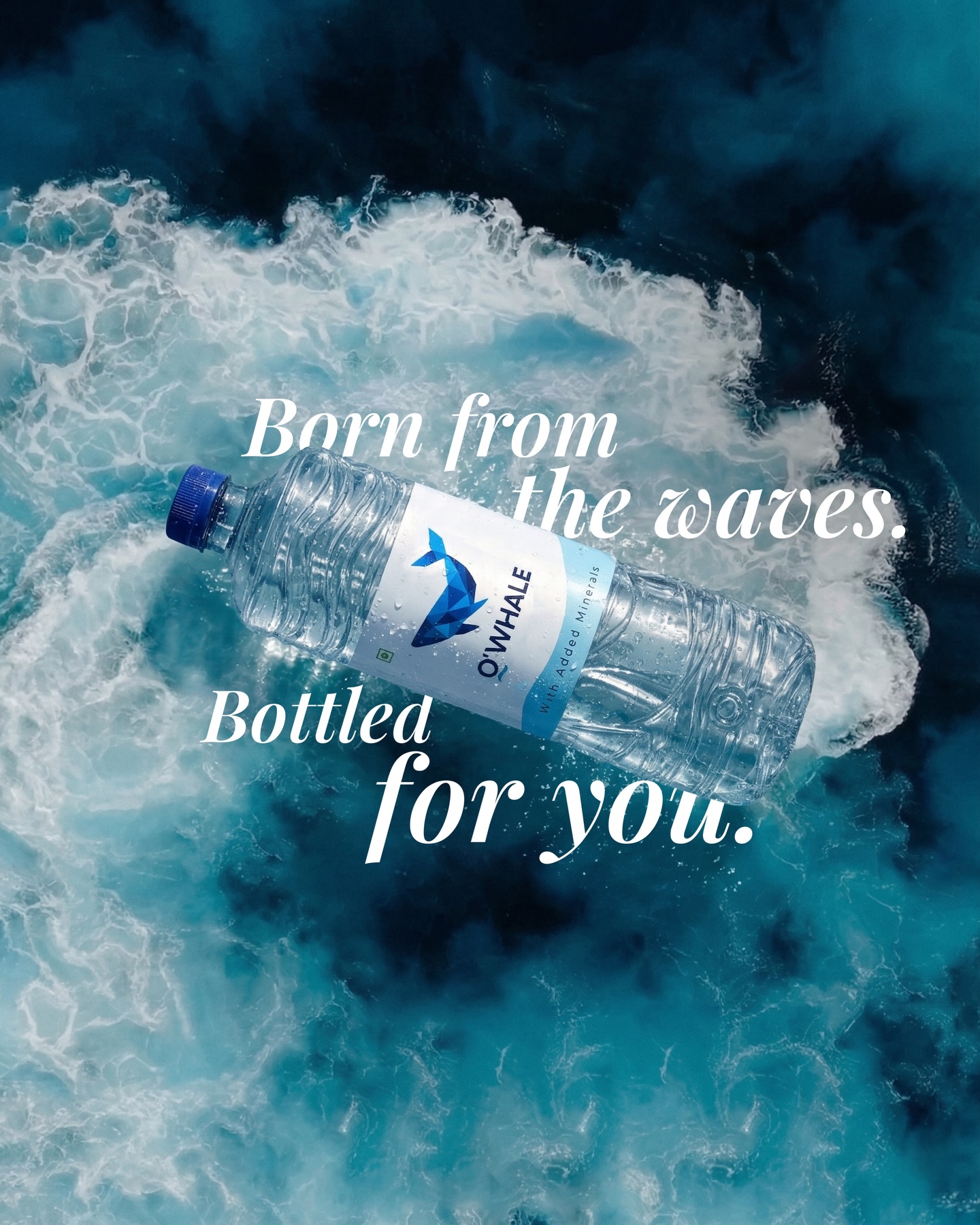 O'WHALE bottle floating on cresting waves