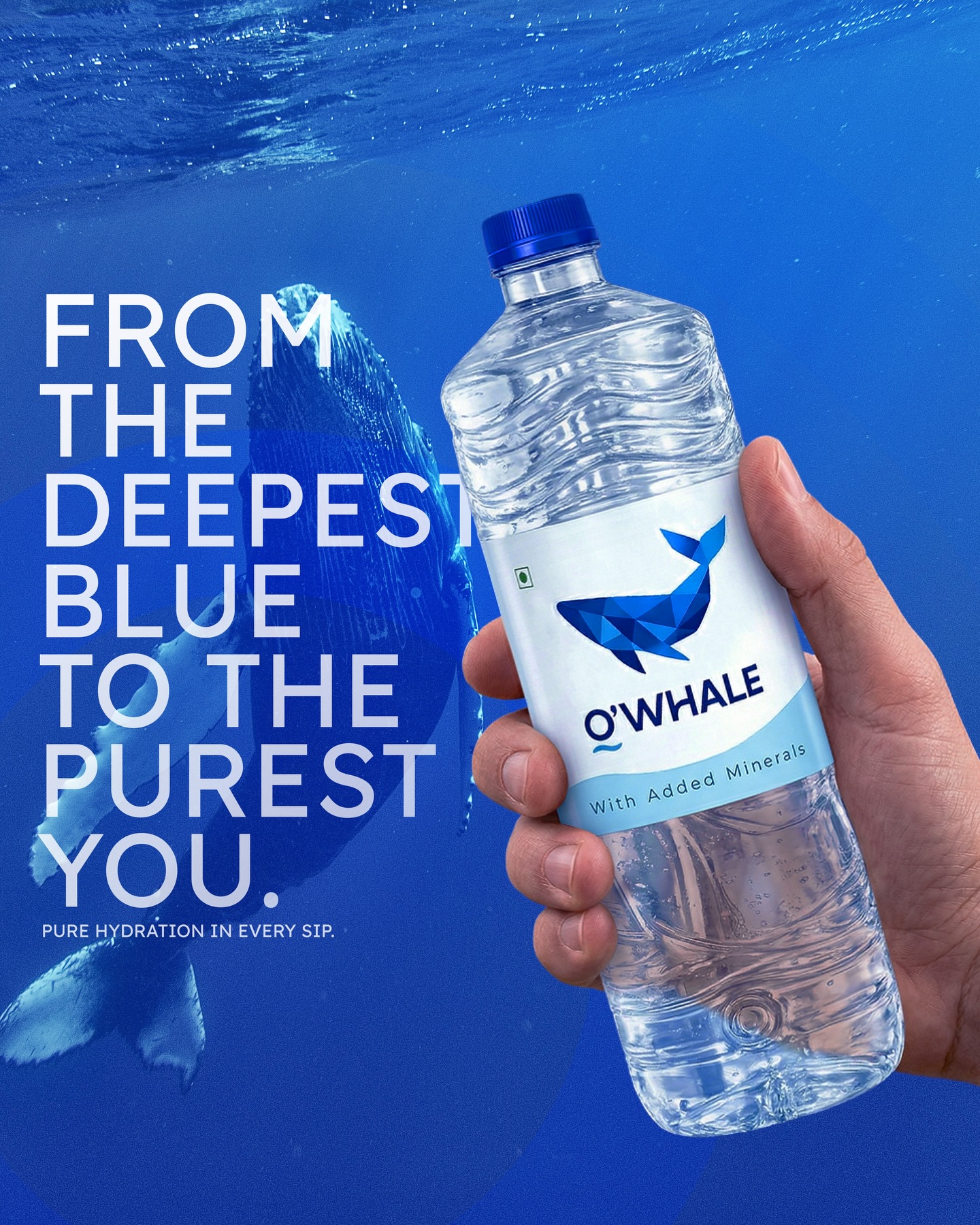 O'WHALE 1 litre bottle held beneath the ocean surface